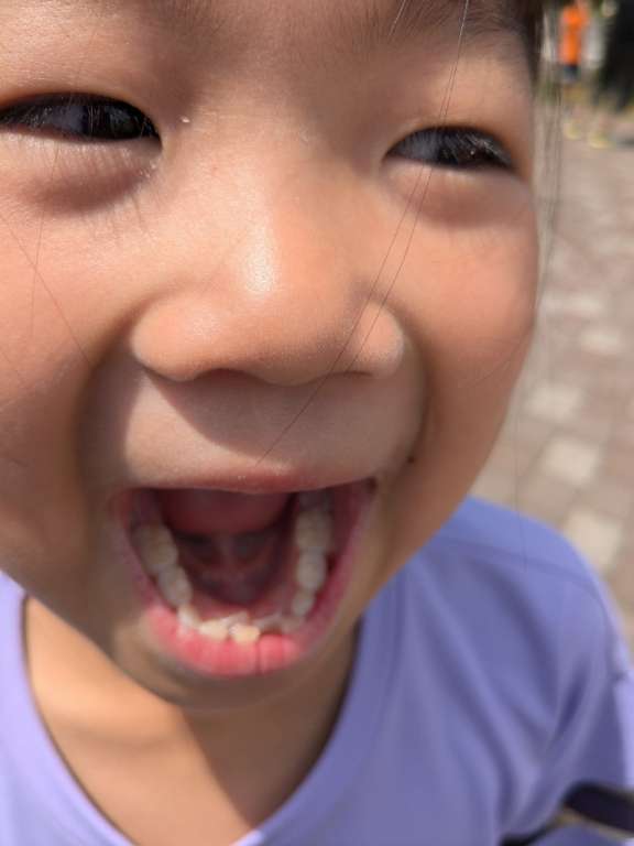 チャリチャレ2024 Day1 写真 485