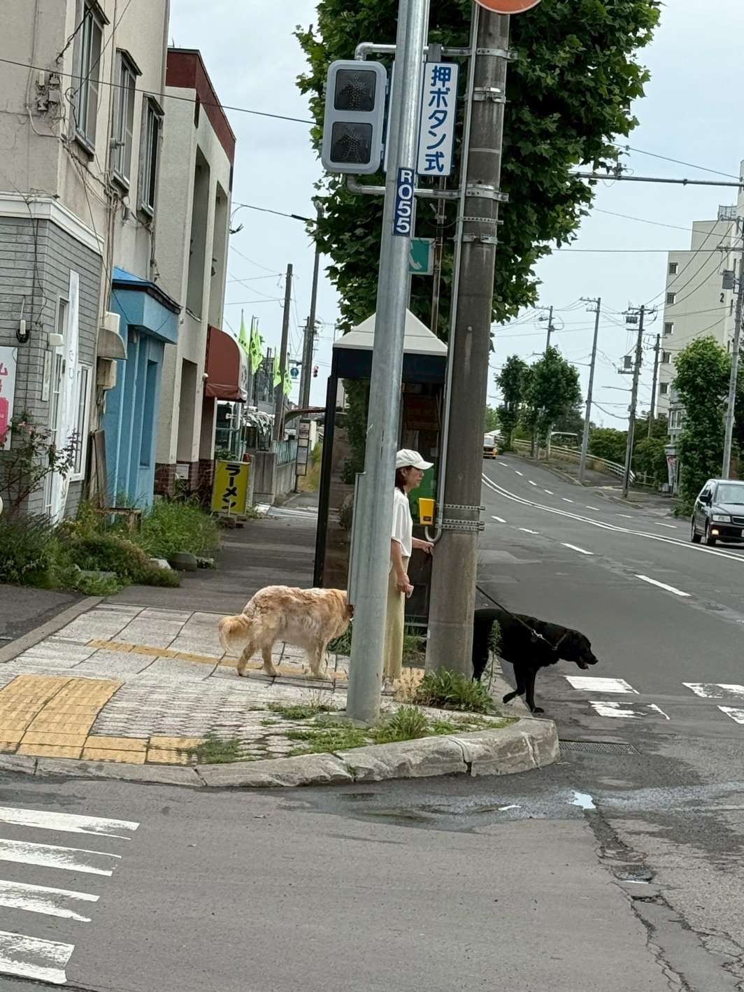 チャリチャレ2025 Day2 写真 327