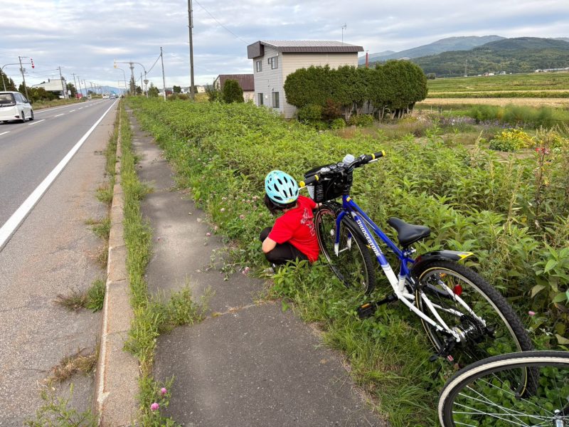 チャリチャレ2026 Day1 写真 545